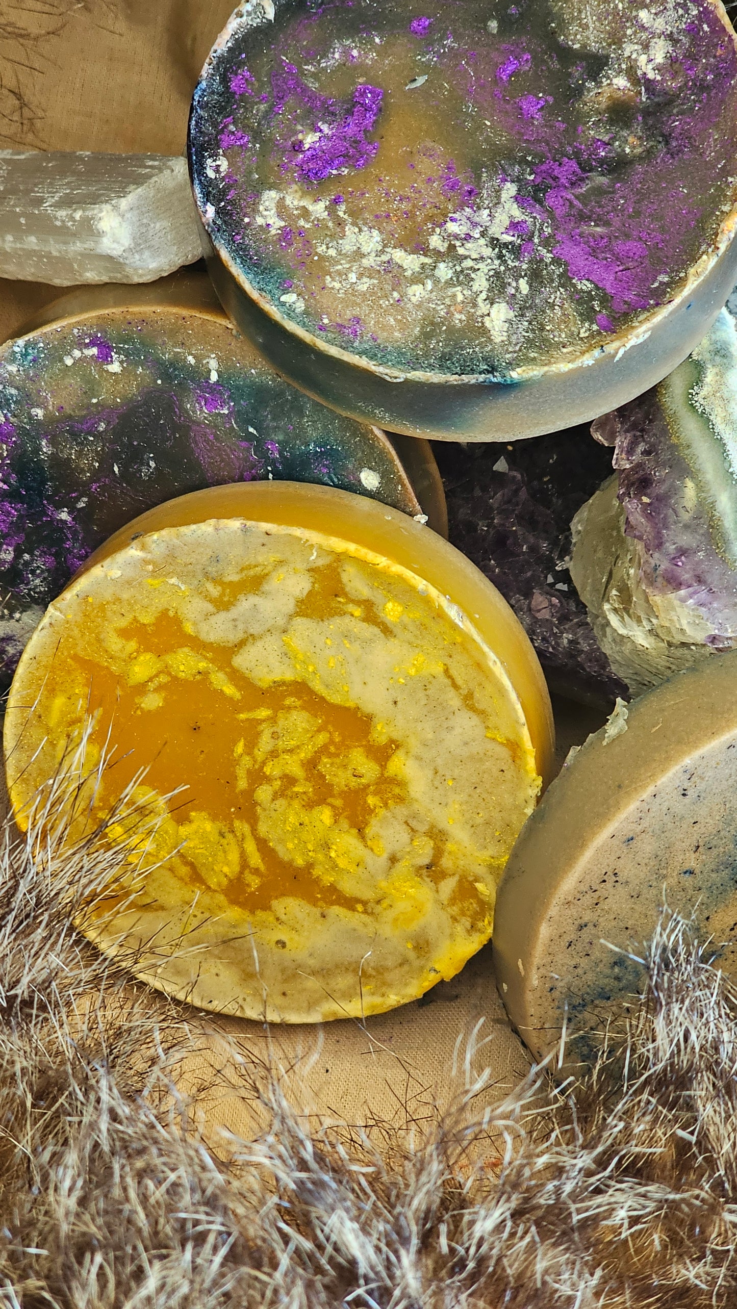 Circle Shape🟢DoxaSoft