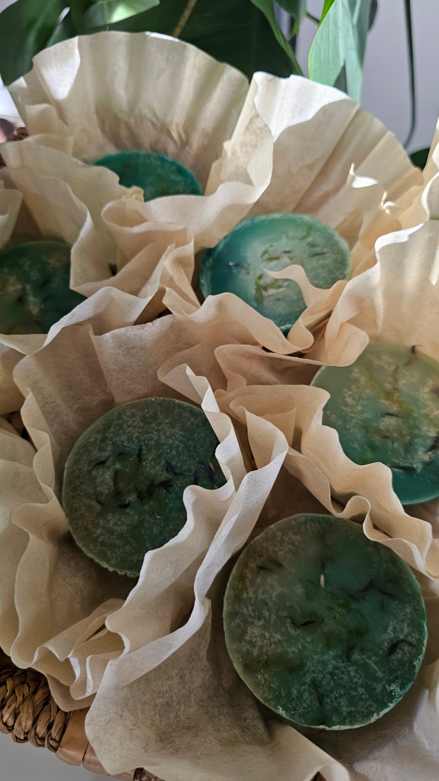 Flower Power DoxaSoft